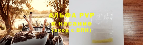 хмурый Абаза