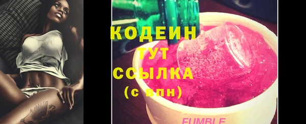 хмурый Абаза