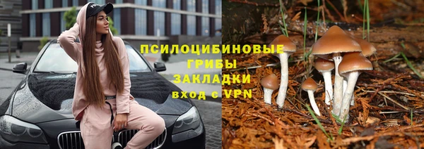 PSILOCYBIN Алексин