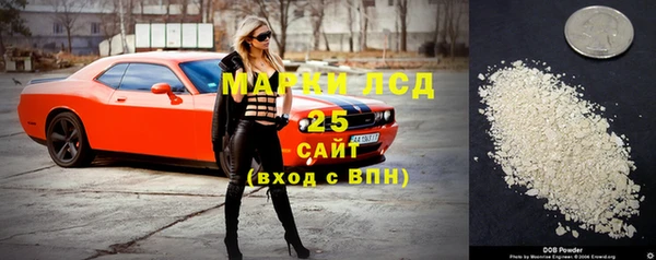 хмурый Абаза