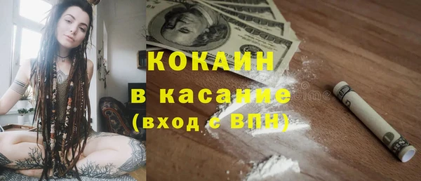 хмурый Абаза