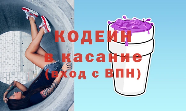 хмурый Абаза
