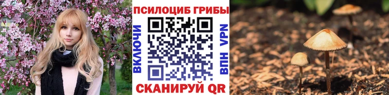 Галлюциногенные грибы мицелий  купить наркоту  Мостовской 